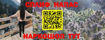 шишки Донской