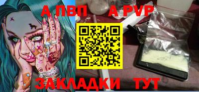 шишки Донской