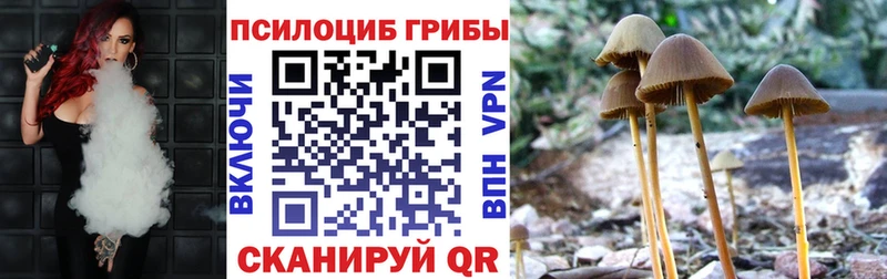 Псилоцибиновые грибы GOLDEN TEACHER  купить закладку  Троицк 
